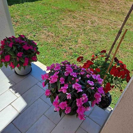Apartmani Danica Воднян Екстер'єр фото