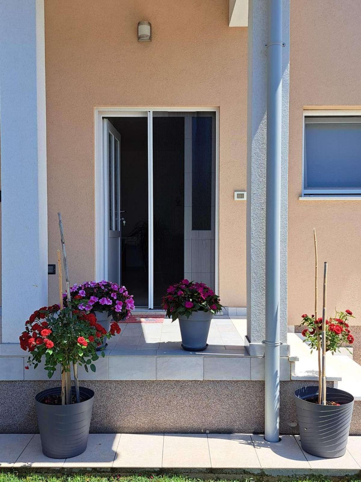 Apartmani Danica Воднян Екстер'єр фото